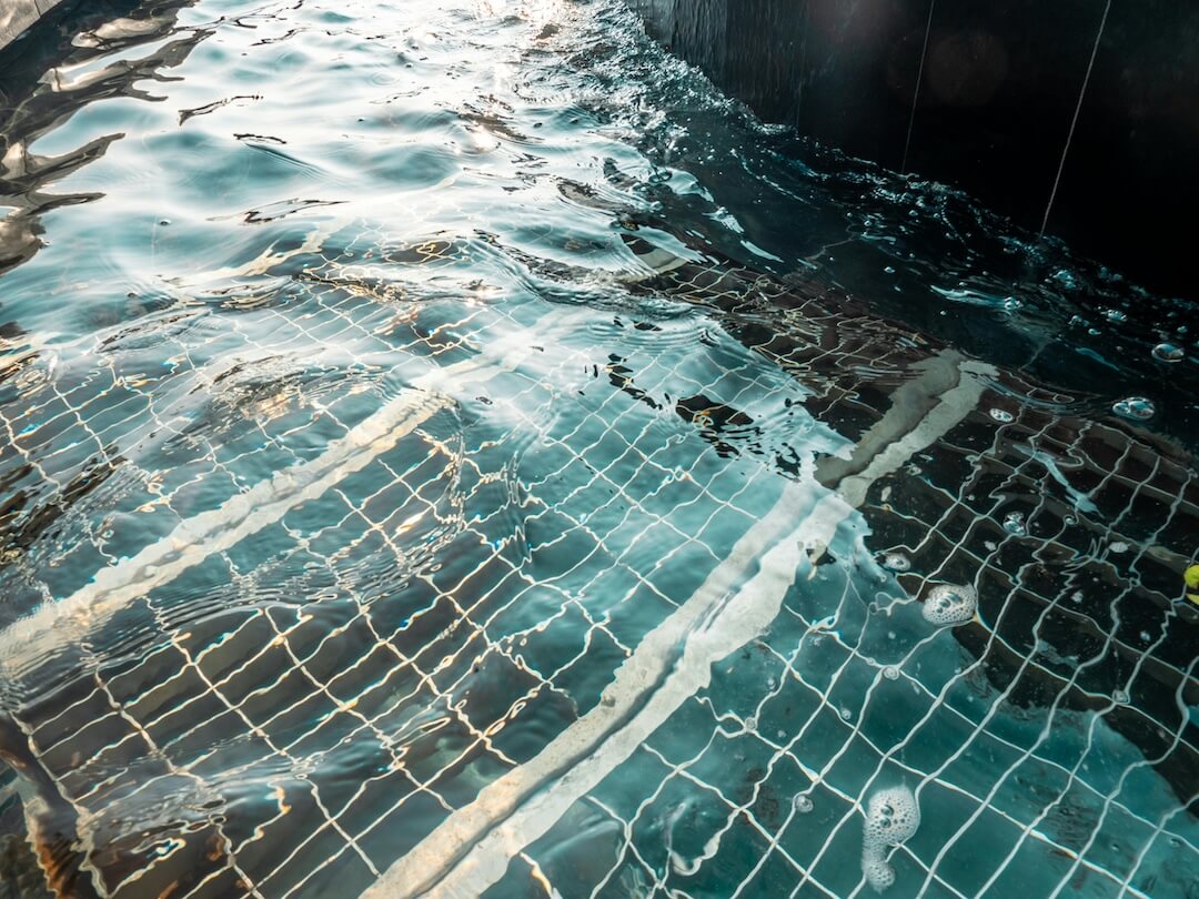 Professional Pool Cleaning Services in Sunny Isles Beach